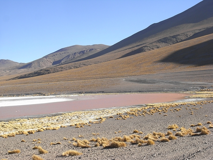 Laguna Colorado - Bolivien